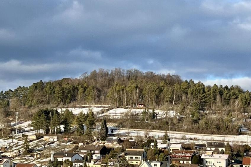 637829 - foto 36