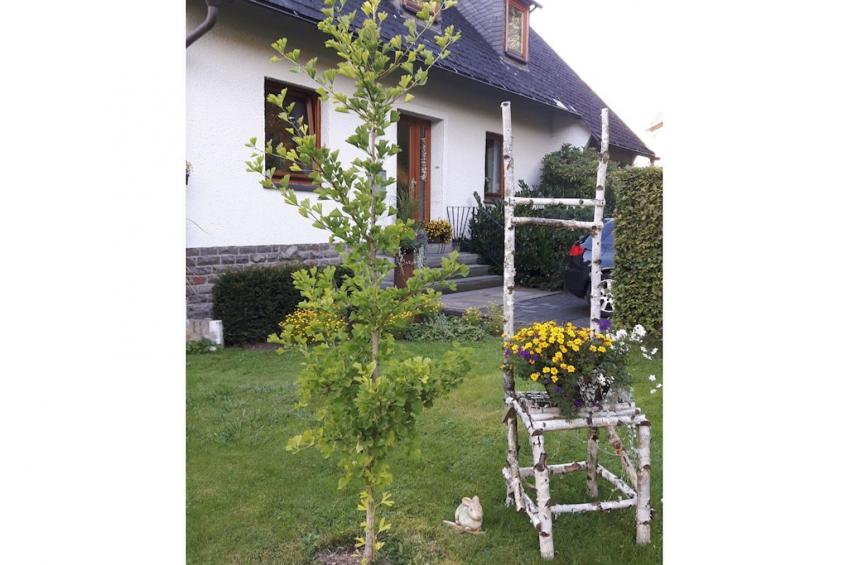 184923 - foto 9