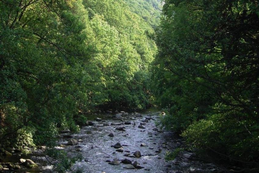 Zur Teufelsmauer - foto 24