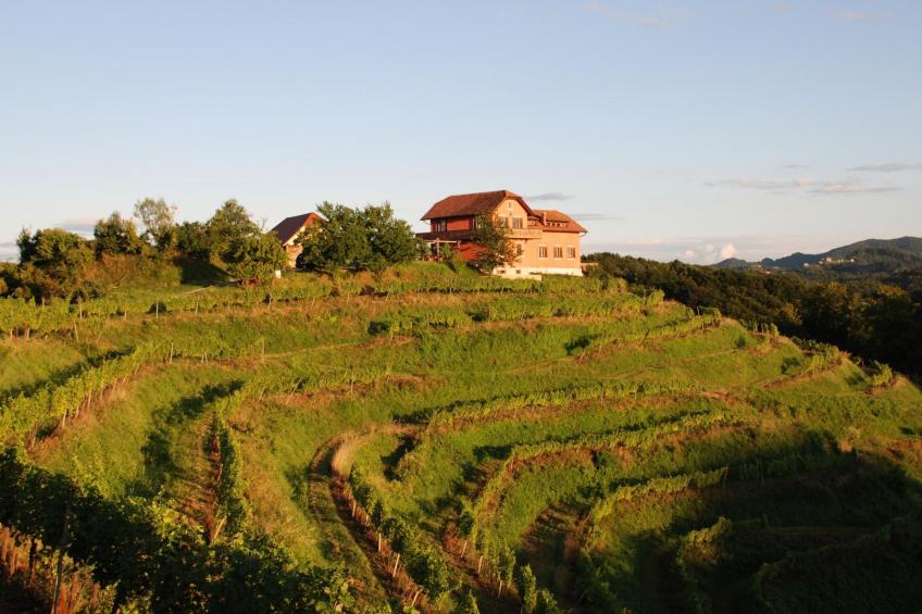 für 8 Personen  + 4 Kinder ca. 200 m² in Ptuj, Untersteiermark (Drau Slowe - foto 3