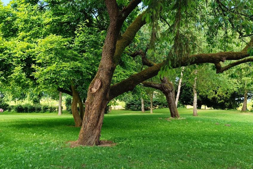 Coproyshof am See - foto 39