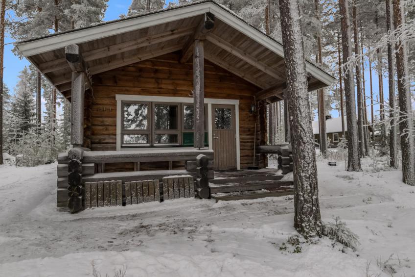 Luhtalemmikki - foto 18