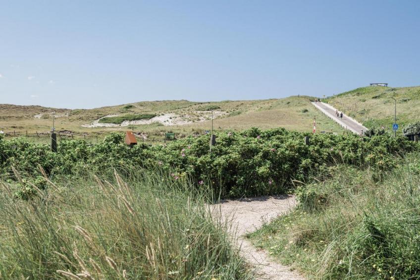 Duynsuites aan Zee - Callantsoog - foto 6
