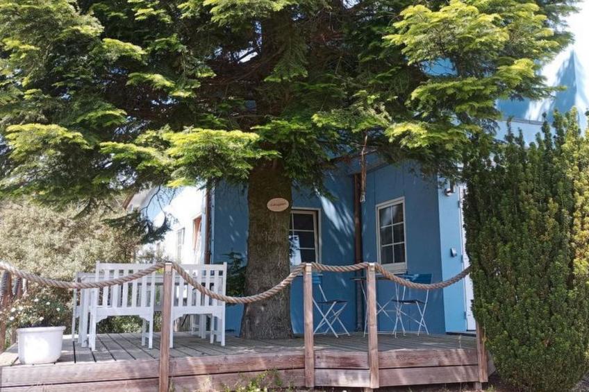 2 Personen  Hund willkommen - foto 10