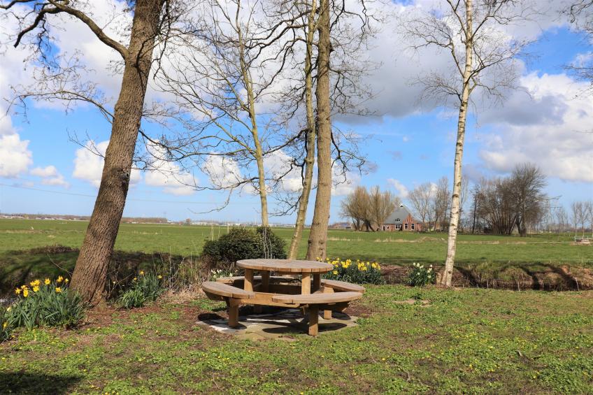 B&B boerderij GRUTSK - foto 12