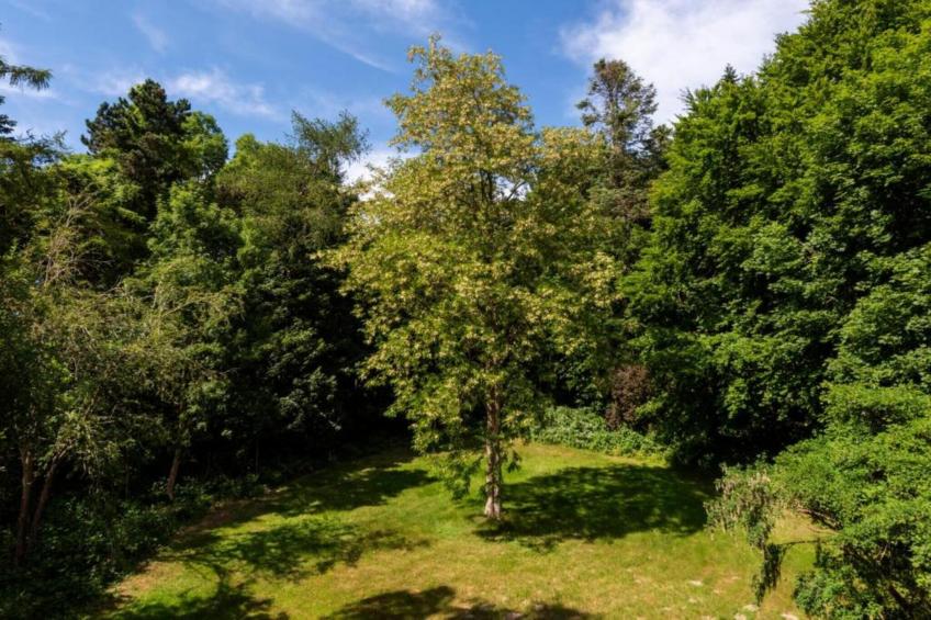 Rugen Suites - foto 14