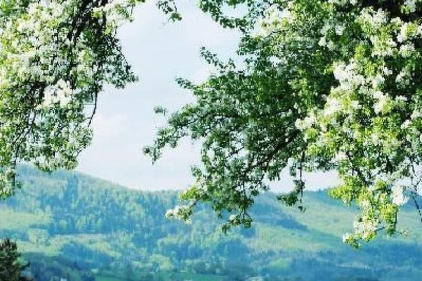 Haus König FEWO - foto 13