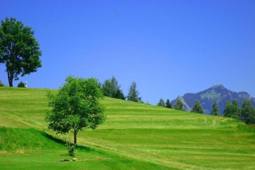 Panoramabergblickwohnung in ruhiger Einzellage - foto 9