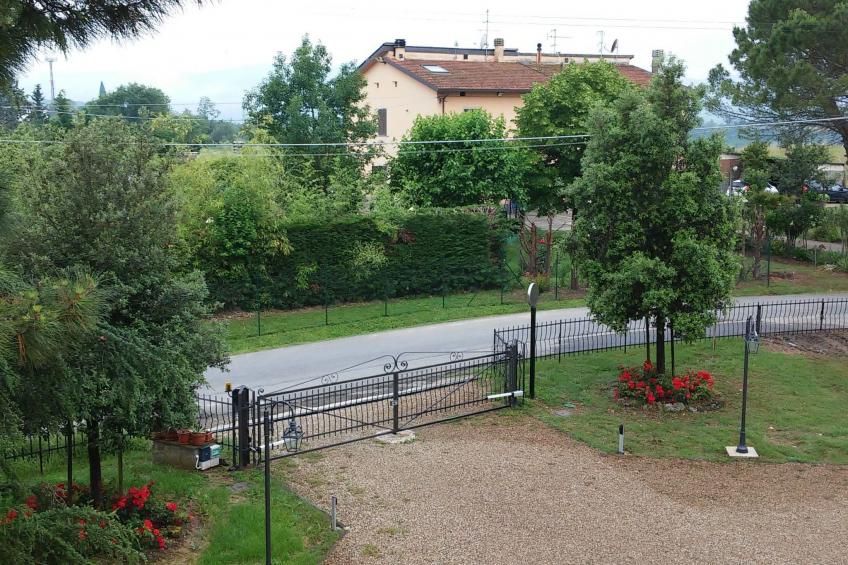 Flache Linde - foto 30