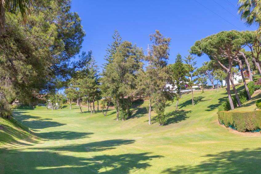 Calahonda Golf - foto 25