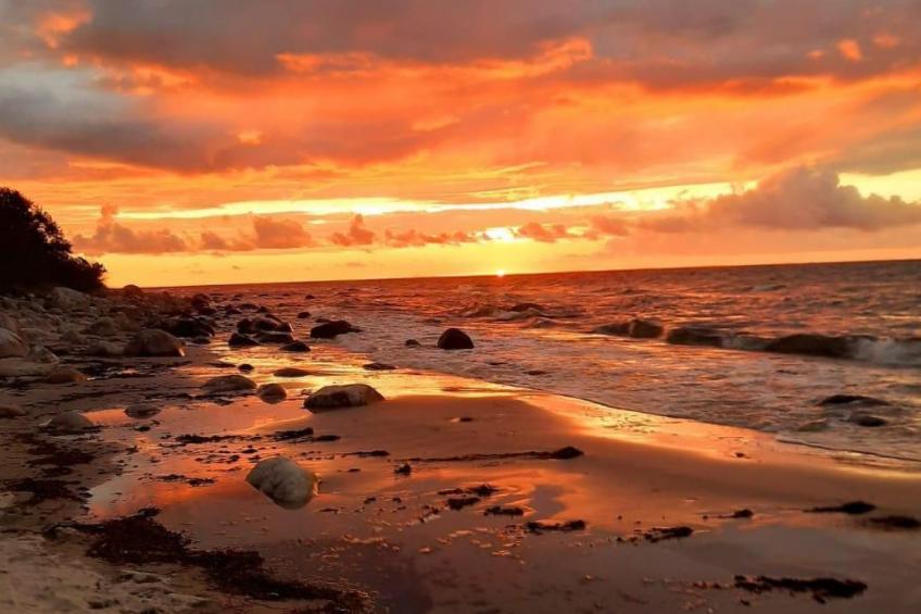 Herzlich willkommen im Ostseehaus am Naturstand - Ostseeblick! - foto 18
