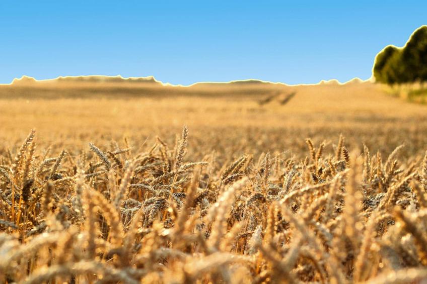Twee-onder-een-kapwoningen Hyggelig, Seehausen - Type C - foto 8