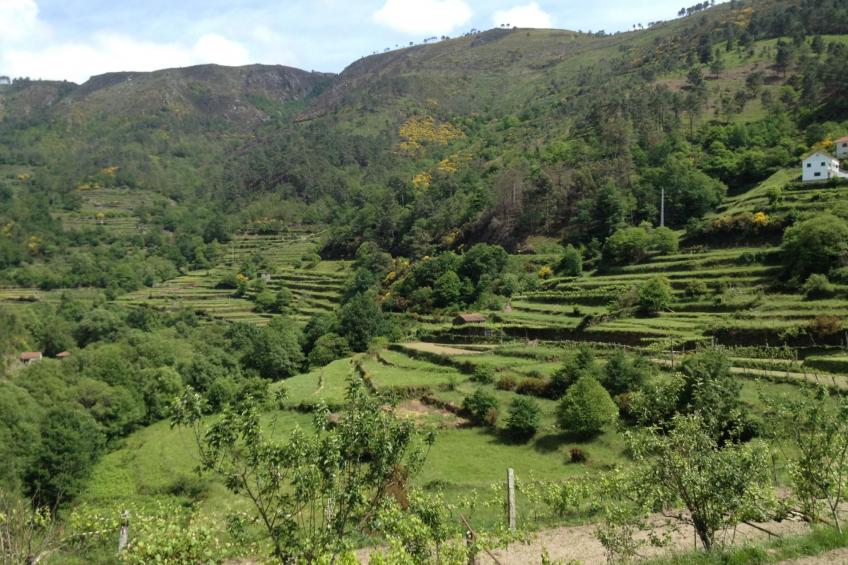 "Großmutters Häuschen" mit überdachter Terrasse - foto 10