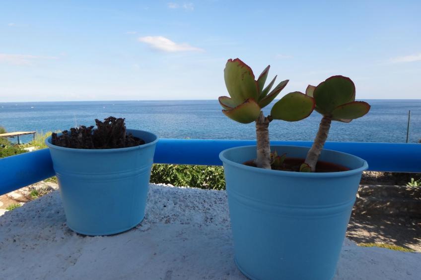 Villa Meris in Castro in Apulien - foto 21