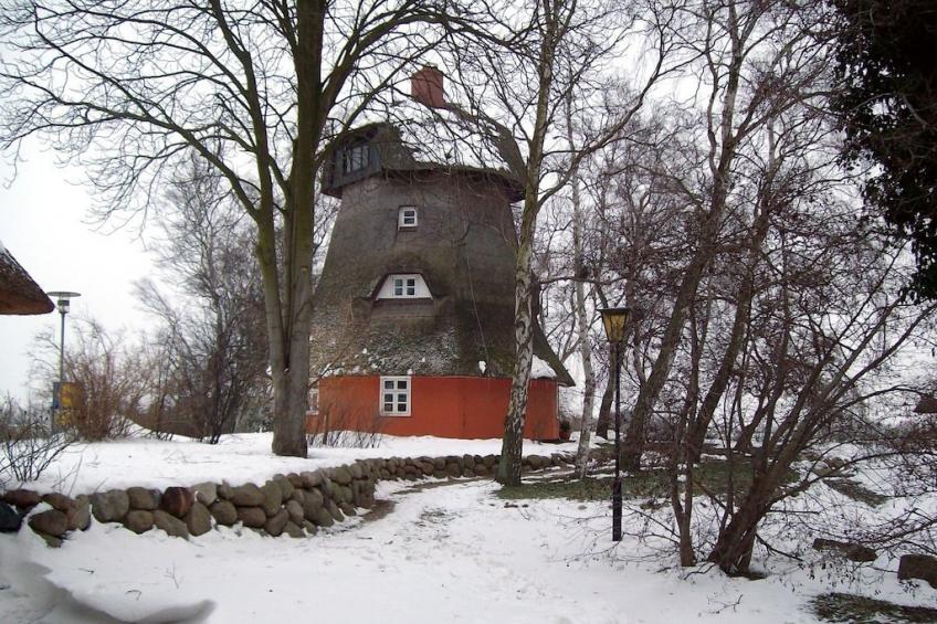 48544 - foto 2