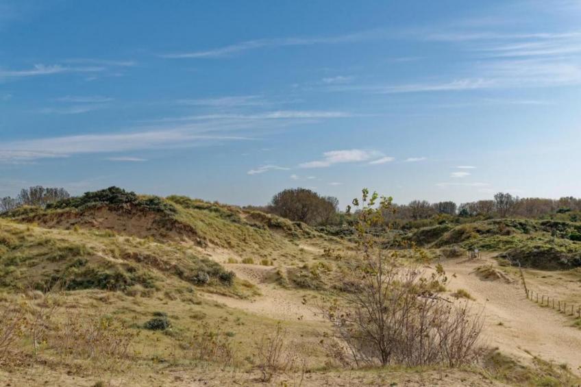 FLAMINGO 101 - foto 25