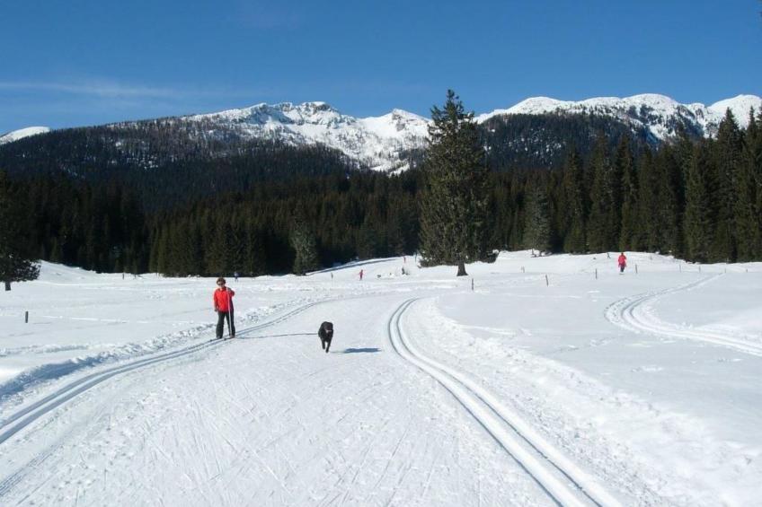 mit Balkon - foto 50