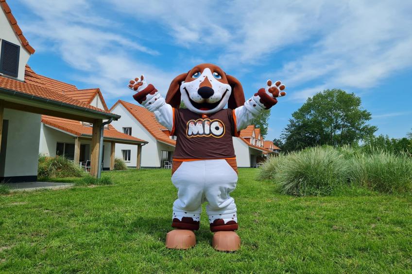 Berck sur Mer 12 - foto 9