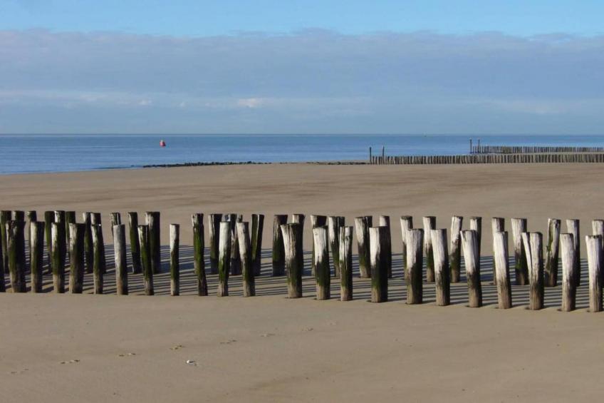 Vakantiehuis - Zoutelande 'Bon Bini' - foto 32