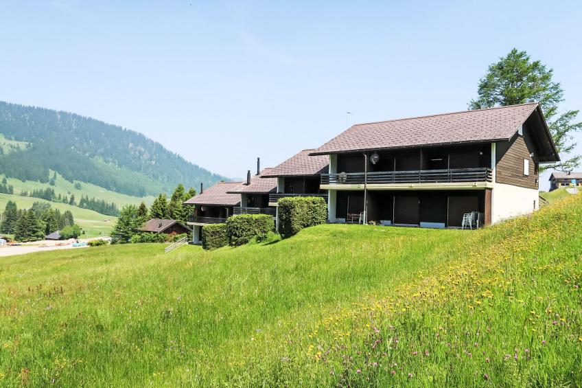 Les Bluets - foto 18