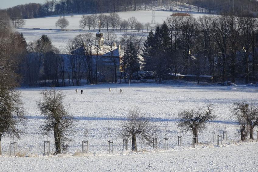Landlust, Stadtnah -  Fewo im ehemaligem Bauernhaus mit Sauna, Kaminofen und gr - foto 24