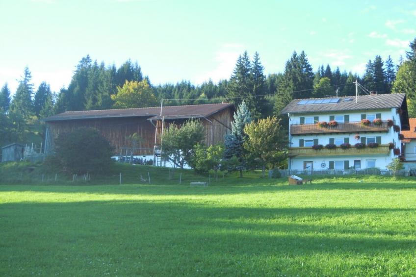 19086 - foto 6