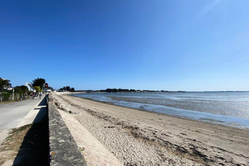 Maison à Le Tour du Parc - foto 22