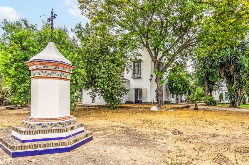 Las Codornices - foto 47