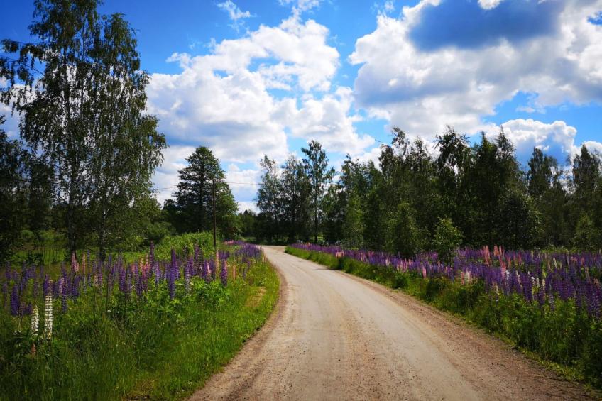 in Hagfors mit Großem Garten - foto 31