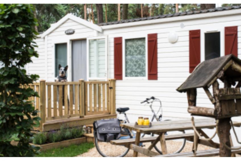 Care-accessible Cosy Cottage 4 personen - foto 21