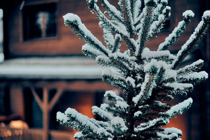 Sissis Green Chalet Theresia - foto 27