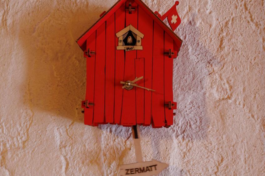 Mayens du Rudet - foto 17