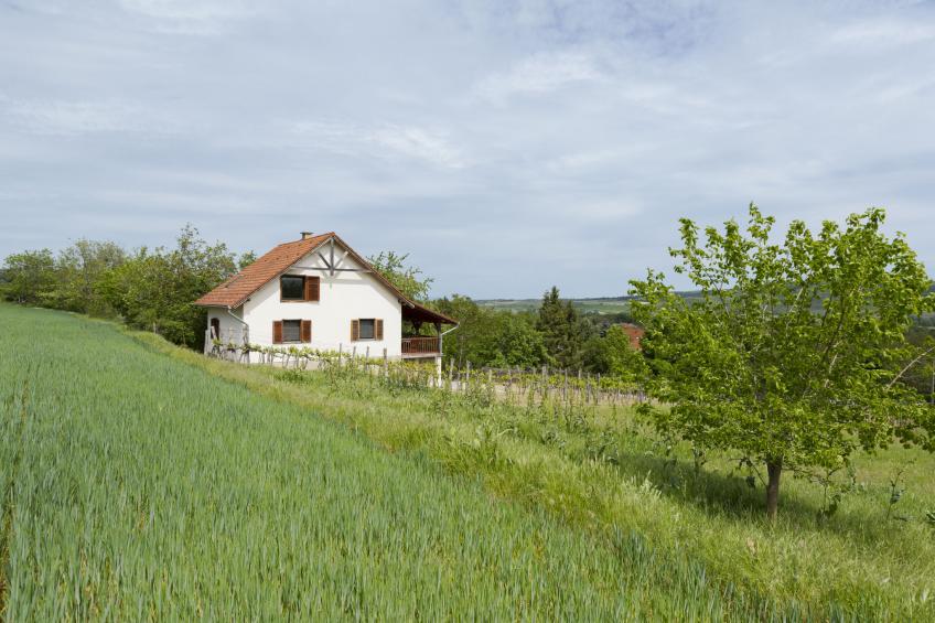 Pax - foto 27