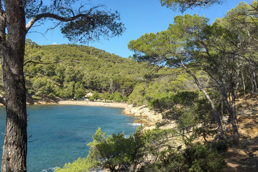 Ferienwohnung (SFP146) - foto 14