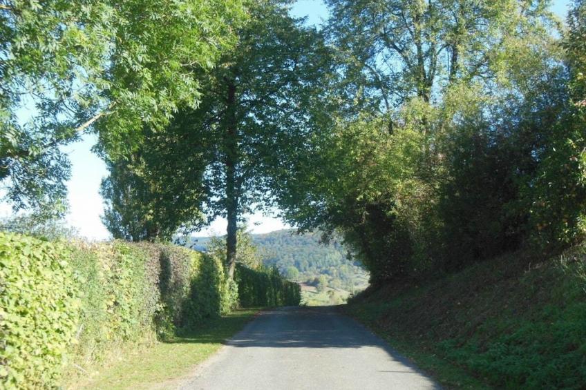 257883 - foto 27