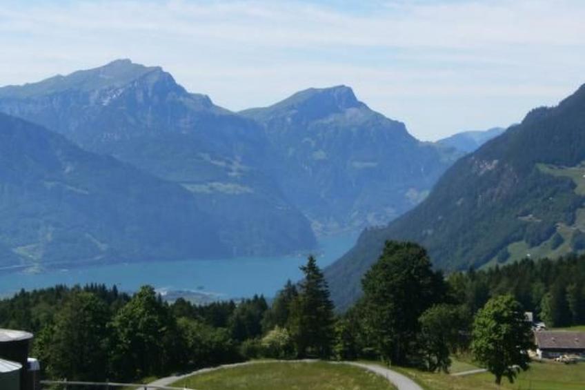 Ferien im grünen rechts - foto 12
