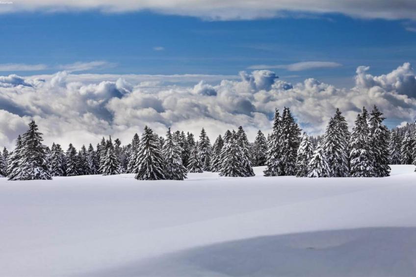 Ferienhaus Edge - foto 12