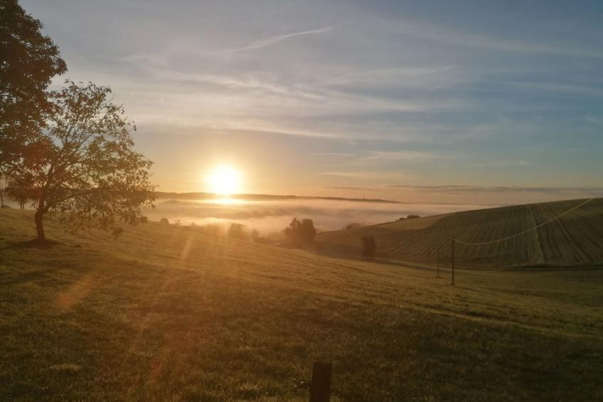 Appartement mit Balkon - foto 14