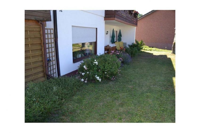 410684 - foto 2