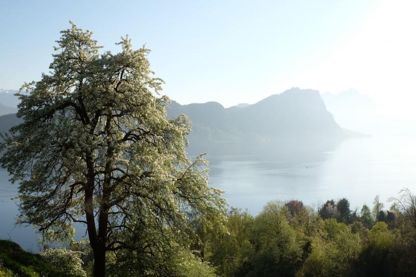 Chalet Bärgblick - foto 29