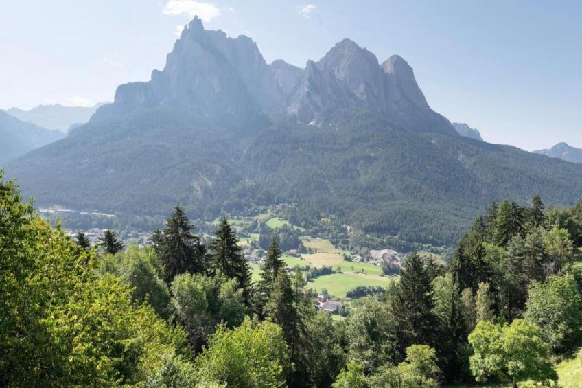 Cortina 2 - foto 19