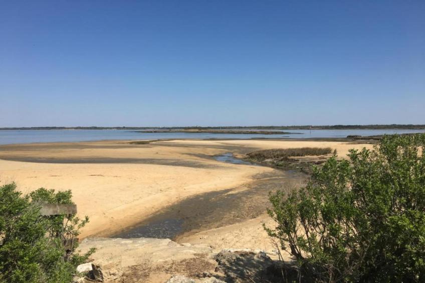 Les Rives Marines - foto 29