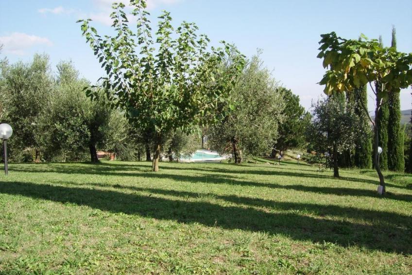 Il Podere La Regina mit privatem Pool - foto 16