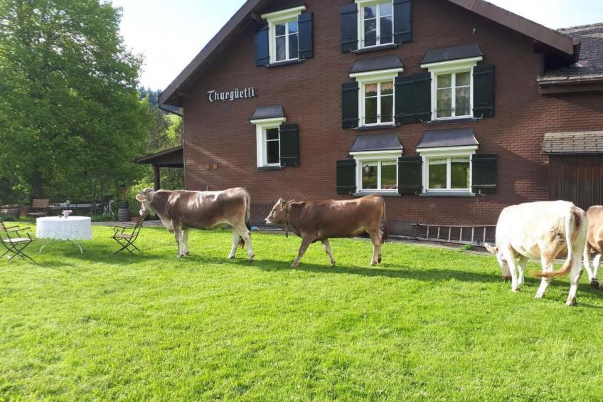 Studio Chic mit Whirlpool - foto 2