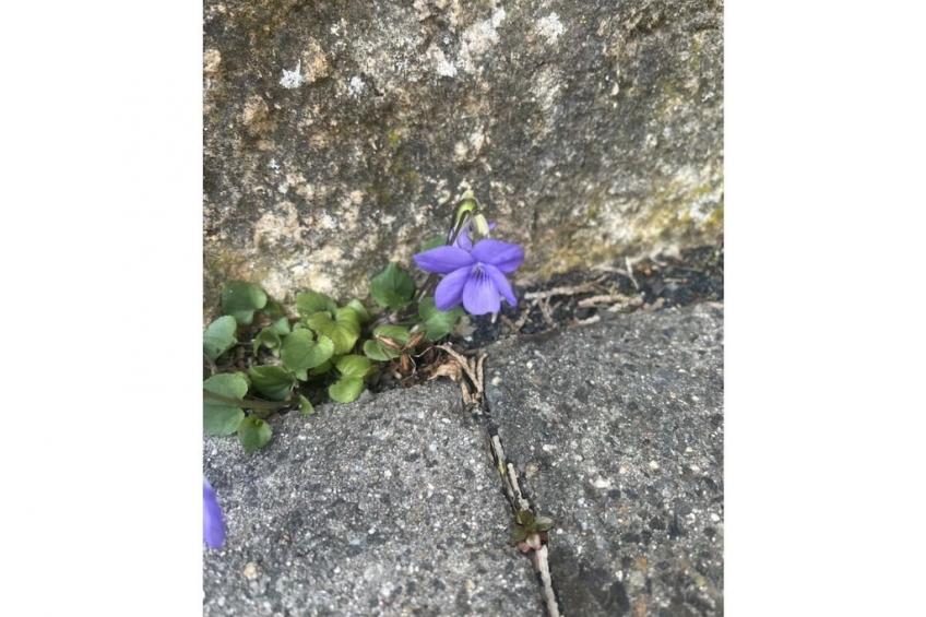 142570 - foto 35