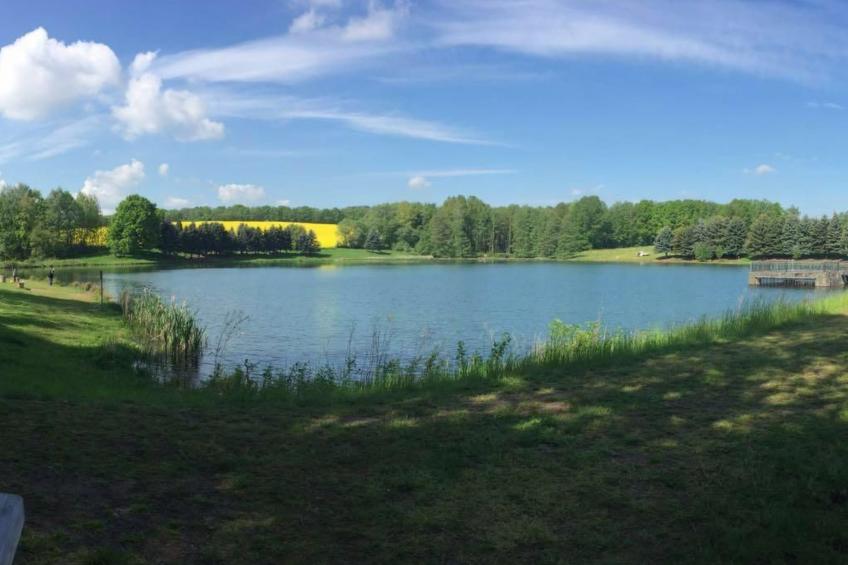 Waldhütte - foto 31