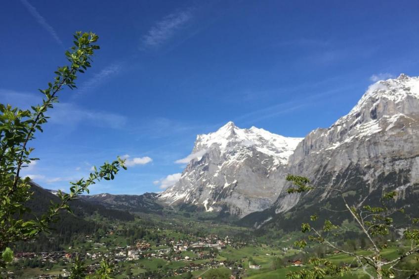 Chalet am Bühl - foto 35