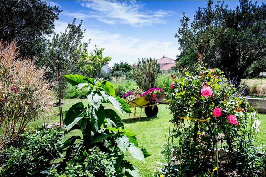 Two Bedroom Apartment (Owner Purple) - foto 12