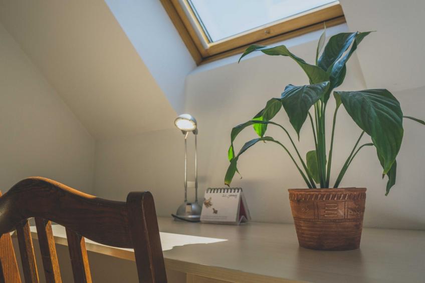 Comfortable Apartment with Mountain View - One Bedroom Apartment - foto 15