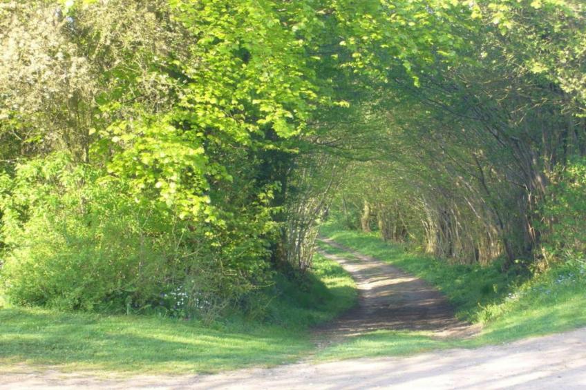 "Schöne Aussichten" Gerdshagen - foto 30